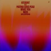 What You Need Feat Matina Sous Peau Nteibint Spiller