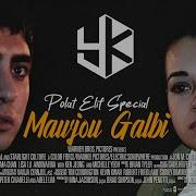 Mawjou Galbi Polat Elif