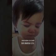 Meni Sevsang Bir Umir Sev