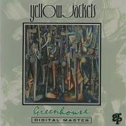 Spirits Yellowjackets