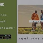 Вставай Гризли Вахтанг