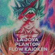 La Joya Flow Kaioken