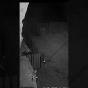 Домашнее Видео Снятое На Камеру Эротического Характера