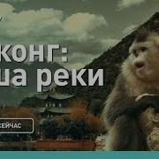 Discovery Channel Детка