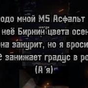 У Неё Бирки Цвета Осень Текст