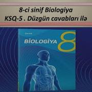 Biyalogiya 8 Ci Sinif Ksq 5