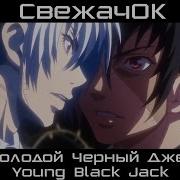 Свежачок Молодой Черный Джек Young Black Jack