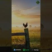 Rudeep Любовь Это Ты