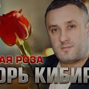 Чужая Роза Official Video 2024 Meloman Hit Игорь Кибирев