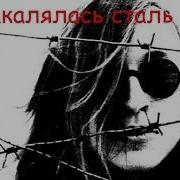 Так Закалялась Сталь Егор Летов