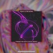 Forget Me Now Remix Cukak Fishy Tri Dung