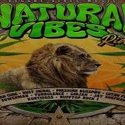 Natural Vibes Riddim Mix Full Feat Jah Cure Busy Signal Ginjah Calum Beam Intl