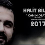 Halit Bilgiç Canın Olayım Halit Bilgiç