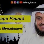 Сура Аль Мунафикун Мишари Рашид