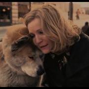 Hachi A Dog S Tale Goodbye