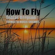 How To Fly Tobias Bergson