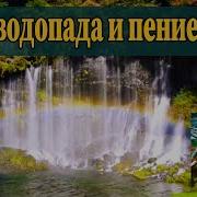 Шум Водопада И Пение Птиц