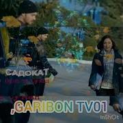 Клипи Садокат
