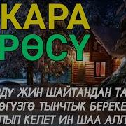 Уй Тазалоочу Дубалар