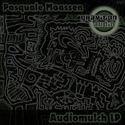 Audiomulch09