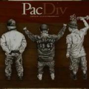 Never Pac Div