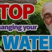 How To Never Do Water Changes