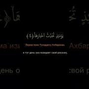 Сура Аль Залзала