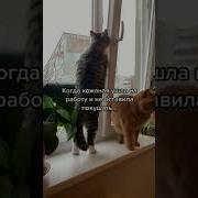 Ты Посмотри На Нее Где Эта Выдра