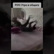 Утро В Общаге Мем