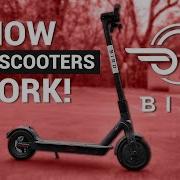 Bird Scooter