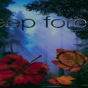 Deep Forest Лучшие Песни