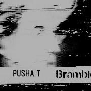 Brambleton Pusha T