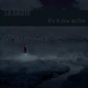 Skyzor I M Alive
