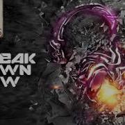 Crypsis Break Down Low