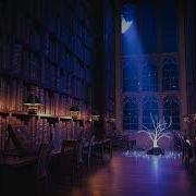 Magic Library Ambience Music