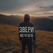 Звери Мечтаем