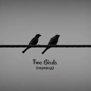 Two Birds On A Wire На Русском