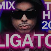 Dj Aligator Remix 2023