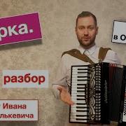 Мурка Murka Аккордеон