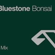 Ilan Bluestone Bonsai