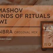 Shinbra От Komashov Sounds Of Rituals Lizwi