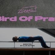 Ziferblat Bird Of Prey Remix