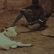 Documentary Of African Human Life African Primitive Tribes Rituals And Ceremonies