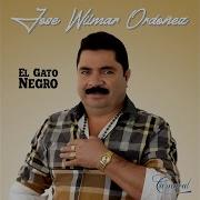 Gato Negro