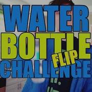 Бутылка Воды Челлендж Bottle Flip Challenge Eeoneguy Собака Кума Чан