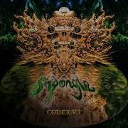 Codex Vi Shpongle