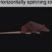 Spinning Rat