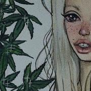 Контракт Пошлая Молли Цензурная