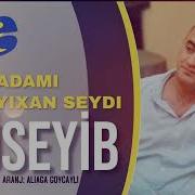 Museyib Derd Adami Yıxan Seydi