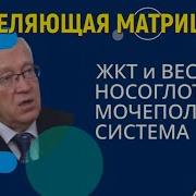 Матрица Гаряева Вес Носоглотка Жкт Мочеполовая Система